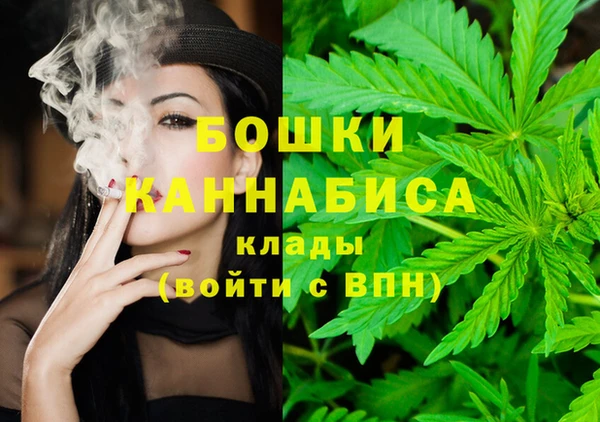 твердый Арсеньев
