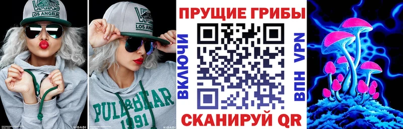 MEGA ссылки Оленегорск Галлюциногенные грибы ЛСД